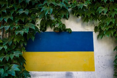 Odessa, Ukrayna, 14 Temmuz 2024 Ukrayna bayrağının renkleri Odessa 'daki birçok binanın duvarlarına boyanmıştır. Bu, Rusya ile savaş halinde Ukraynalıların kendilerini yok etmeleri anlamına geliyor..