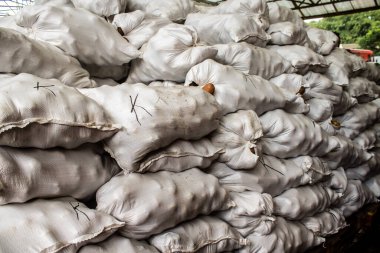 Odesa, Ukrayna, 22 Temmuz 2024 Pryvoz pazarı Odesa 'daki en büyük gıda pazarı ve dünyanın en büyük pazarlarından biridir. İnsanlar çabuk alışveriş yapıyor çünkü Odesa Ruslar tarafından saldırı altında.