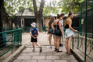 Odesa, Ukrayna, 22 Temmuz 2024 Odesa Hayvanat Bahçesi ülke çapında değerli bir doğa koruma alanına sahiptir. Savaşa ve şehre saldırı riskine rağmen burası açık ve aileler tarafından ziyaret ediliyor..
