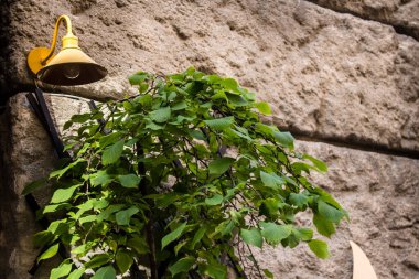 Lviv, Ukrayna, 18 Ağustos 2024 Lviv şehri. Rusya ile savaş sırasında, Lviv binaları Rus füzeleri tarafından tehdit ediliyor ve hedef alınıyordu. Altyapı ve binalar birincil hedeflerdir.