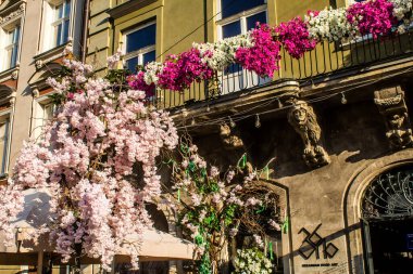 Lviv, Ukrayna, 18 Ağustos 2024, Rynok Meydanı, 14. yüzyıldan kalma bu meydan tarihi binalar, çeşmeler ve heykeller içerir. Lviv binaları Rus füzeleri tarafından tehdit ediliyor.