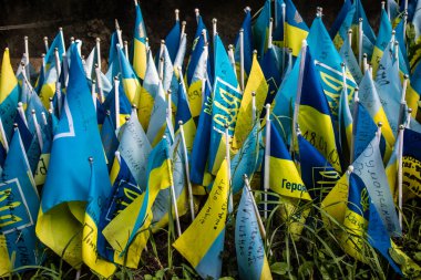 Lviv, Ukrayna, 19 Ağustos 2024, Lviv meydanında şehit bir askeri gösteren küçük bir bayrak dikildi. Her geçen gün daha fazla bayrak eklendiğini görüyoruz..