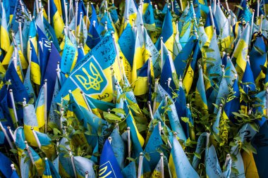 Lviv, Ukrayna, 19 Ağustos 2024, Lviv meydanında şehit bir askeri gösteren küçük bir bayrak dikildi. Her geçen gün daha fazla bayrak eklendiğini görüyoruz..