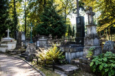 Lviv, Ukrayna, 19 Ağustos 2024 Lychakiv Mezarlığı. Lviv sakinlerinin ve ünlü kişiliklerin mezarlarını içeriyor. Mezarlardan kimi gerçekten sanat eseridir, kimi de kabirleri süsleyip-donatır..