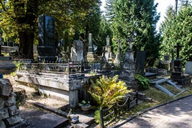 Lviv, Ukrayna, 19 Ağustos 2024 Lychakiv Mezarlığı. Lviv sakinlerinin ve ünlü kişiliklerin mezarlarını içeriyor. Mezarlardan kimi gerçekten sanat eseridir, kimi de kabirleri süsleyip-donatır..