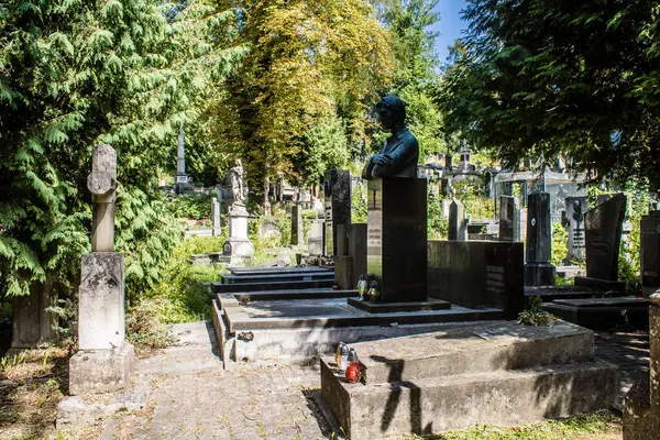 Lviv, Ukrayna, 19 Ağustos 2024 Lychakiv Mezarlığı. Lviv sakinlerinin ve ünlü kişiliklerin mezarlarını içeriyor. Mezarlardan kimi gerçekten sanat eseridir, kimi de kabirleri süsleyip-donatır..