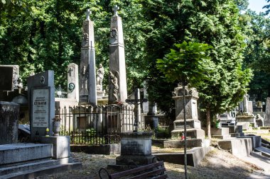 Lviv, Ukrayna, 19 Ağustos 2024 Lychakiv Mezarlığı. Lviv sakinlerinin ve ünlü kişiliklerin mezarlarını içeriyor. Mezarlardan kimi gerçekten sanat eseridir, kimi de kabirleri süsleyip-donatır..