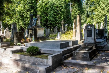 Lviv, Ukrayna, 19 Ağustos 2024 Lychakiv Mezarlığı. Lviv sakinlerinin ve ünlü kişiliklerin mezarlarını içeriyor. Mezarlardan kimi gerçekten sanat eseridir, kimi de kabirleri süsleyip-donatır..