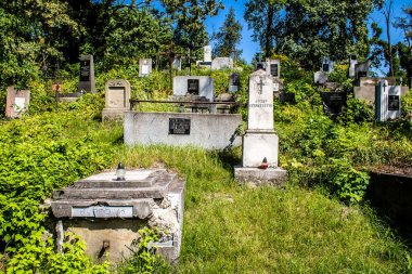 Lviv, Ukrayna, 19 Ağustos 2024 Lychakiv Mezarlığı. Lviv sakinlerinin ve ünlü kişiliklerin mezarlarını içeriyor. Mezarlardan kimi gerçekten sanat eseridir, kimi de kabirleri süsleyip-donatır..