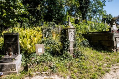 Lviv, Ukrayna, 19 Ağustos 2024 Lychakiv Mezarlığı. Lviv sakinlerinin ve ünlü kişiliklerin mezarlarını içeriyor. Mezarlardan kimi gerçekten sanat eseridir, kimi de kabirleri süsleyip-donatır..