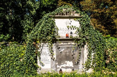 Lviv, Ukrayna, 19 Ağustos 2024 Lychakiv Mezarlığı. Lviv sakinlerinin ve ünlü kişiliklerin mezarlarını içeriyor. Mezarlardan kimi gerçekten sanat eseridir, kimi de kabirleri süsleyip-donatır..