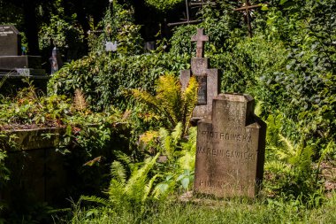 Lviv, Ukrayna, 19 Ağustos 2024 Lychakiv Mezarlığı. Lviv sakinlerinin ve ünlü kişiliklerin mezarlarını içeriyor. Mezarlardan kimi gerçekten sanat eseridir, kimi de kabirleri süsleyip-donatır..