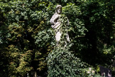 Lviv, Ukrayna, 19 Ağustos 2024 Lychakiv Mezarlığı. Lviv sakinlerinin ve ünlü kişiliklerin mezarlarını içeriyor. Mezarlardan kimi gerçekten sanat eseridir, kimi de kabirleri süsleyip-donatır..