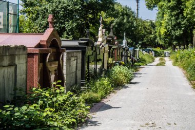 Lviv, Ukrayna, 19 Ağustos 2024 Lychakiv Mezarlığı. Lviv sakinlerinin ve ünlü kişiliklerin mezarlarını içeriyor. Mezarlardan kimi gerçekten sanat eseridir, kimi de kabirleri süsleyip-donatır..