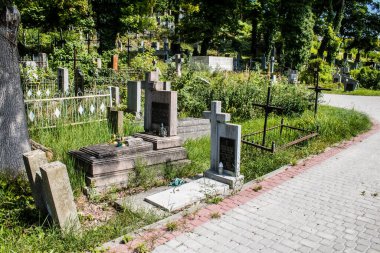 Lviv, Ukrayna, 19 Ağustos 2024 Lychakiv Mezarlığı. Lviv sakinlerinin ve ünlü kişiliklerin mezarlarını içeriyor. Mezarlardan kimi gerçekten sanat eseridir, kimi de kabirleri süsleyip-donatır..