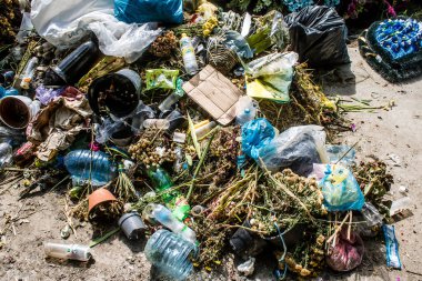 Lviv, Ukrayna, 19 Ağustos 2024 Lychakiv Mezarlığı. Lviv sakinlerinin ve ünlü kişiliklerin mezarlarını içeriyor. Mezarlardan kimi gerçekten sanat eseridir, kimi de kabirleri süsleyip-donatır..