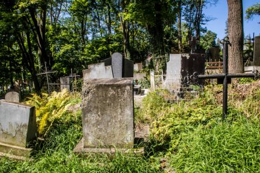 Lviv, Ukrayna, 19 Ağustos 2024 Lychakiv Mezarlığı. Lviv sakinlerinin ve ünlü kişiliklerin mezarlarını içeriyor. Mezarlardan kimi gerçekten sanat eseridir, kimi de kabirleri süsleyip-donatır..