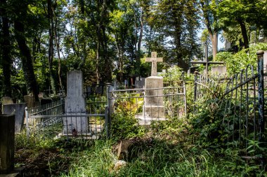 Lviv, Ukrayna, 19 Ağustos 2024 Lychakiv Mezarlığı. Lviv sakinlerinin ve ünlü kişiliklerin mezarlarını içeriyor. Mezarlardan kimi gerçekten sanat eseridir, kimi de kabirleri süsleyip-donatır..