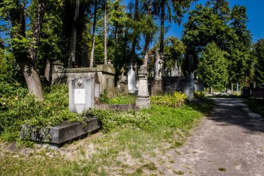 Lviv, Ukrayna, 19 Ağustos 2024 Lychakiv Mezarlığı. Lviv sakinlerinin ve ünlü kişiliklerin mezarlarını içeriyor. Mezarlardan kimi gerçekten sanat eseridir, kimi de kabirleri süsleyip-donatır..