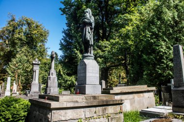 Lviv, Ukrayna, 19 Ağustos 2024 Lychakiv Mezarlığı. Lviv sakinlerinin ve ünlü kişiliklerin mezarlarını içeriyor. Mezarlardan kimi gerçekten sanat eseridir, kimi de kabirleri süsleyip-donatır..