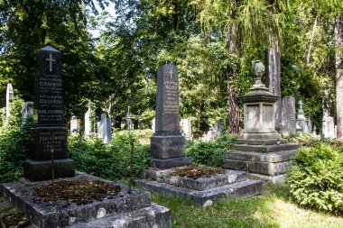 Lviv, Ukrayna, 19 Ağustos 2024 Lychakiv Mezarlığı. Lviv sakinlerinin ve ünlü kişiliklerin mezarlarını içeriyor. Mezarlardan kimi gerçekten sanat eseridir, kimi de kabirleri süsleyip-donatır..