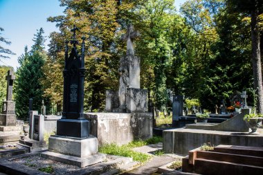 Lviv, Ukrayna, 19 Ağustos 2024 Lychakiv Mezarlığı. Lviv sakinlerinin ve ünlü kişiliklerin mezarlarını içeriyor. Mezarlardan kimi gerçekten sanat eseridir, kimi de kabirleri süsleyip-donatır..
