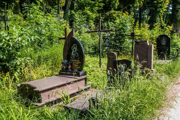 Lviv, Ukrayna, 19 Ağustos 2024 Lychakiv Mezarlığı. Lviv sakinlerinin ve ünlü kişiliklerin mezarlarını içeriyor. Mezarlardan kimi gerçekten sanat eseridir, kimi de kabirleri süsleyip-donatır..