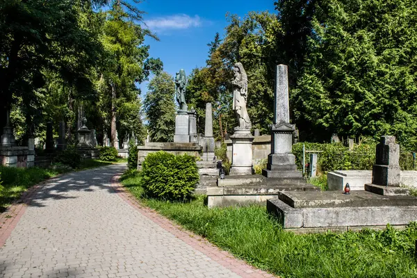 Lviv, Ukrayna, 19 Ağustos 2024 Lychakiv Mezarlığı. Lviv sakinlerinin ve ünlü kişiliklerin mezarlarını içeriyor. Mezarlardan kimi gerçekten sanat eseridir, kimi de kabirleri süsleyip-donatır..