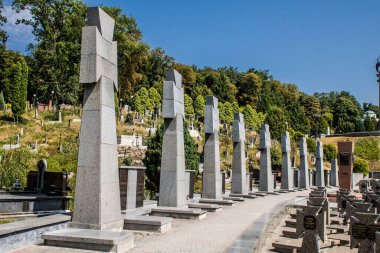 Lviv, Ukrayna, 19 Ağustos 2024 Lviv Askeri Mezarlığı. Askerlerin mezarları, Ukrayna 'yı savunan kahramanlar göz alabildiğince uzanan çiçeklerle kaplıdır..