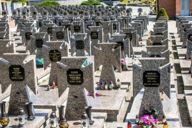 Lviv, Ukrayna, 19 Ağustos 2024 Lviv Askeri Mezarlığı. Askerlerin mezarları, Ukrayna 'yı savunan kahramanlar göz alabildiğince uzanan çiçeklerle kaplıdır..