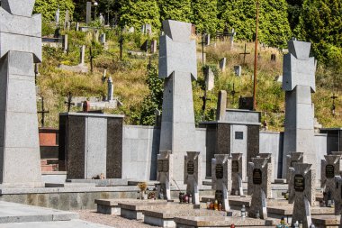 Lviv, Ukrayna, 19 Ağustos 2024 Lviv Askeri Mezarlığı. Askerlerin mezarları, Ukrayna 'yı savunan kahramanlar göz alabildiğince uzanan çiçeklerle kaplıdır..