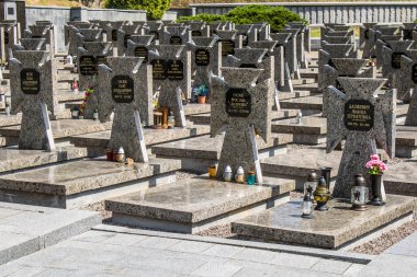 Lviv, Ukrayna, 19 Ağustos 2024 Lviv Askeri Mezarlığı. Askerlerin mezarları, Ukrayna 'yı savunan kahramanlar göz alabildiğince uzanan çiçeklerle kaplıdır..