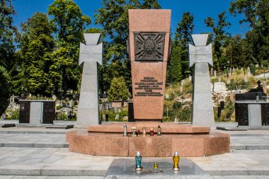 Lviv, Ukrayna, 19 Ağustos 2024 Lviv Askeri Mezarlığı. Askerlerin mezarları, Ukrayna 'yı savunan kahramanlar göz alabildiğince uzanan çiçeklerle kaplıdır..