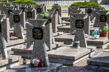 Lviv, Ukrayna, 19 Ağustos 2024 Lviv Askeri Mezarlığı. Askerlerin mezarları, Ukrayna 'yı savunan kahramanlar göz alabildiğince uzanan çiçeklerle kaplıdır..