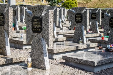 Lviv, Ukrayna, 19 Ağustos 2024 Lviv Askeri Mezarlığı. Askerlerin mezarları, Ukrayna 'yı savunan kahramanlar göz alabildiğince uzanan çiçeklerle kaplıdır..