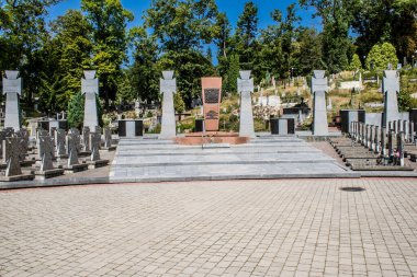 Lviv, Ukrayna, 19 Ağustos 2024 Lviv Askeri Mezarlığı. Askerlerin mezarları, Ukrayna 'yı savunan kahramanlar göz alabildiğince uzanan çiçeklerle kaplıdır..
