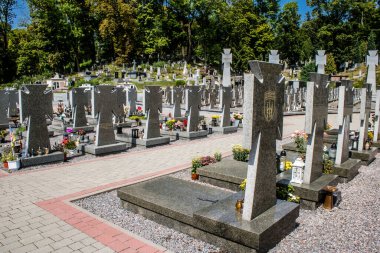 Lviv, Ukrayna, 19 Ağustos 2024 Lviv Askeri Mezarlığı. Askerlerin mezarları, Ukrayna 'yı savunan kahramanlar göz alabildiğince uzanan çiçeklerle kaplıdır..