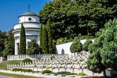 Lviv, Ukrayna, 19 Ağustos 2024 Lviv Askeri Mezarlığı. Ukrayna Galiçya Ordusu Anıtı.