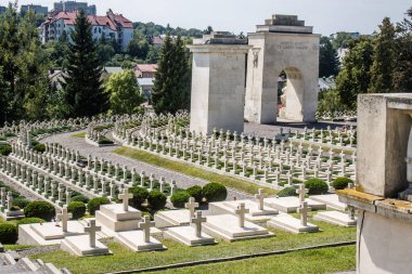Lviv, Ukrayna, 19 Ağustos 2024 Lviv Askeri Mezarlığı. Ukrayna Galiçya Ordusu Anıtı.