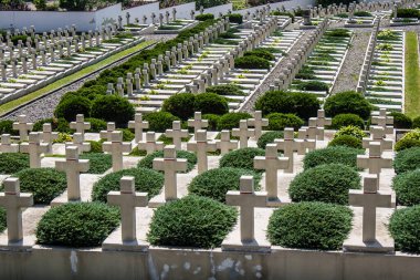 Lviv, Ukrayna, 19 Ağustos 2024 Lviv Askeri Mezarlığı. Ukrayna Galiçya Ordusu Anıtı.