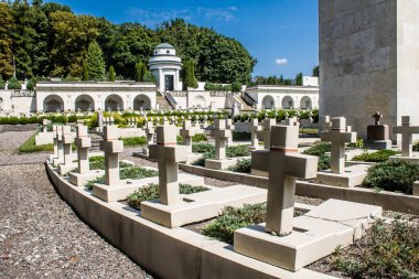 Lviv, Ukrayna, 19 Ağustos 2024 Lviv Askeri Mezarlığı. Ukrayna Galiçya Ordusu Anıtı.