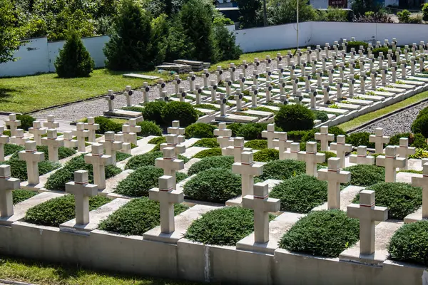 Lviv, Ukrayna, 19 Ağustos 2024 Lviv Askeri Mezarlığı. Ukrayna Galiçya Ordusu Anıtı.