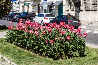 Lviv, Ukrayna, 23 Ağustos 2024 Lviv şehri. Rusya ile savaş sırasında, Lviv binaları Rus füzeleri tarafından tehdit ediliyor ve hedef alınıyordu. Altyapı ve binalar birincil hedeflerdir.