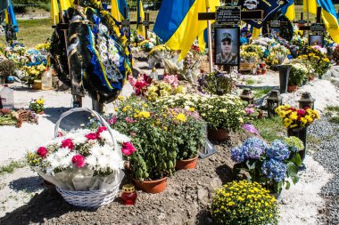 Lviv, Ukrayna, 23 Ağustos 2024 Lviv Askeri Mezarlığı. Askerlerin mezarları, Ukrayna 'yı savunan kahramanlar göz alabildiğince uzanan çiçeklerle kaplıdır. Her gün yeni cenazeler ekleniyor.