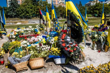 Lviv, Ukrayna, 23 Ağustos 2024 Lviv Askeri Mezarlığı. Askerlerin mezarları, Ukrayna 'yı savunan kahramanlar göz alabildiğince uzanan çiçeklerle kaplıdır. Her gün yeni cenazeler ekleniyor.