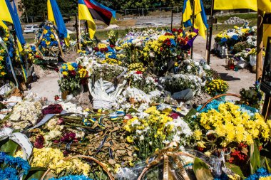 Lviv, Ukrayna, 23 Ağustos 2024 Lviv Askeri Mezarlığı. Askerlerin mezarları, Ukrayna 'yı savunan kahramanlar göz alabildiğince uzanan çiçeklerle kaplıdır. Her gün yeni cenazeler ekleniyor.