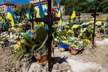 Lviv, Ukrayna, 23 Ağustos 2024 Lviv Askeri Mezarlığı. Askerlerin mezarları, Ukrayna 'yı savunan kahramanlar göz alabildiğince uzanan çiçeklerle kaplıdır. Her gün yeni cenazeler ekleniyor.