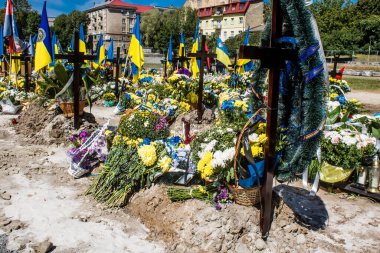 Lviv, Ukrayna, 23 Ağustos 2024 Lviv Askeri Mezarlığı. Askerlerin mezarları, Ukrayna 'yı savunan kahramanlar göz alabildiğince uzanan çiçeklerle kaplıdır. Her gün yeni cenazeler ekleniyor.