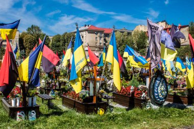 Lviv, Ukrayna, 23 Ağustos 2024 Lviv Askeri Mezarlığı. Askerlerin mezarları, Ukrayna 'yı savunan kahramanlar göz alabildiğince uzanan çiçeklerle kaplıdır. Her gün yeni cenazeler ekleniyor.
