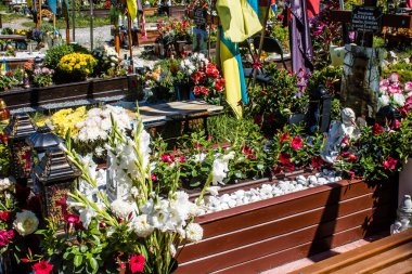 Lviv, Ukrayna, 23 Ağustos 2024 Lviv Askeri Mezarlığı. Askerlerin mezarları, Ukrayna 'yı savunan kahramanlar göz alabildiğince uzanan çiçeklerle kaplıdır. Her gün yeni cenazeler ekleniyor.